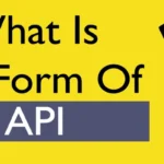 API Full Form