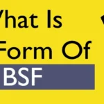 BSF Full Form
