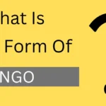 What Is Full Form Of NGO