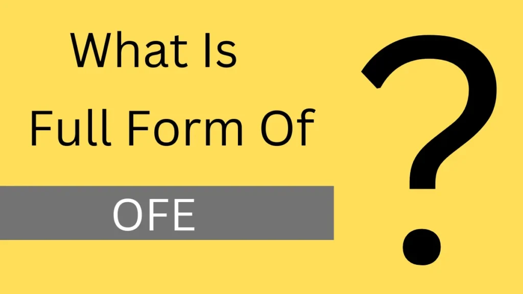 What Is The OFE? Key Functions and Impact